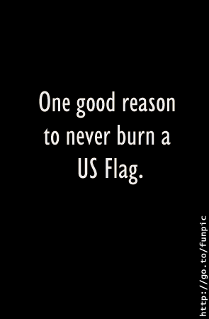 http://suncrusher.turkeyland.net/~jeff/stuff/pics/funny/burnflag.gif